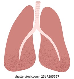 Human lungs. Anatomy of internal organ. Ideal for medical or educational purposes.