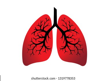 Human Lungs Anatomy Structure Isolated On Stock Vector (Royalty Free ...