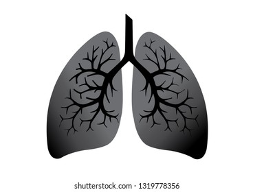 Human lungs anatomy and structure isolated on white background. Lung cancer and normal lung vector