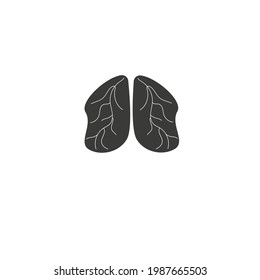 Human lungs anatomy vector icon illustration isolated on white background