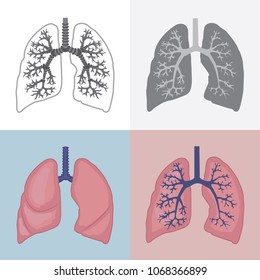 Human lungs anatomy. Vector illustration.