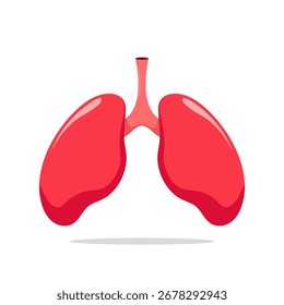 Human Lungs Anatomy Vector Illustration