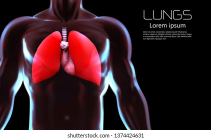 Human Lungs with Body