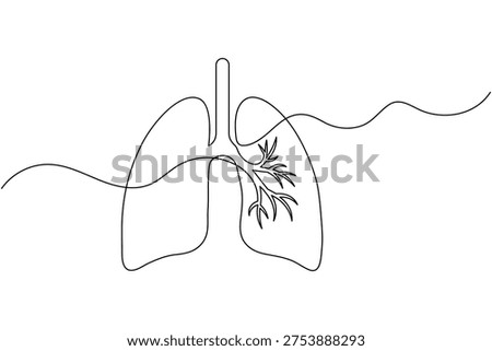 Human lungs with bronchial tree continuous one line drawing minimalist respiratory system outline vector