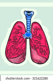 Human lungs cartoon hand draw illustration. Ink on paper based out line