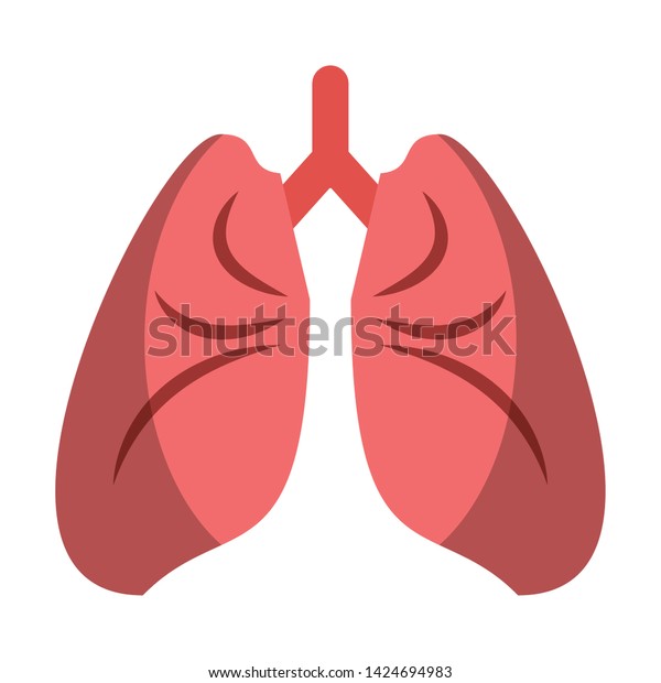 Human Lungs Cartoon Isolated Vector Illustration Stock Vector (Royalty ...