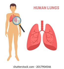 Human lungs concept, human anatomy, a man body standing with lungs and magnifying glass and huge lungs