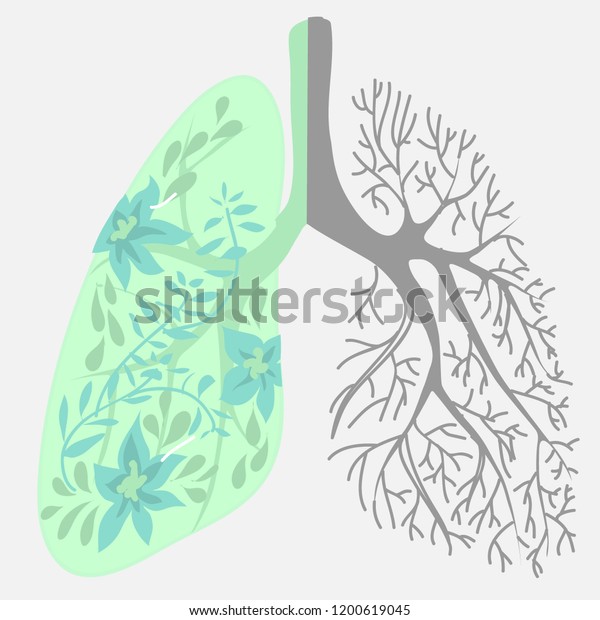 human lungs are divided into\
two parts - healthy and sick. lung treatment regimen. vector color\
image