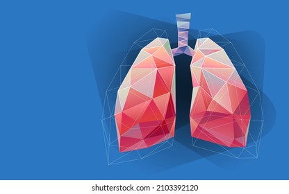 Human lungs drawing. Illustration in polygonal style