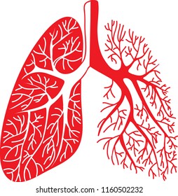 human lungs, half black half white. of the human respiratory tract. simple vector illustration