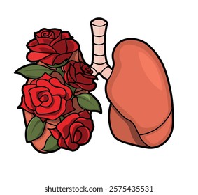 Human Lungs  Half
