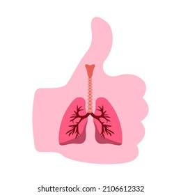 Human lungs and hand with thumb up.Flat vector illustration