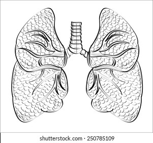 human lungs- hands sketch vector illustration