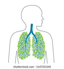 Human lungs. Healthy clean lungs. Bronchial tree.
Ecology medicine and health. Healthy lifestyle. Vector illustration.