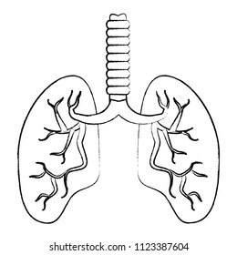human lungs icon