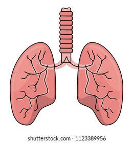 human lungs icon