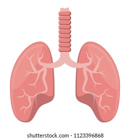 human lungs icon