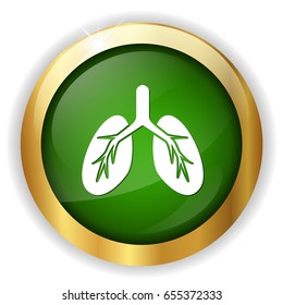 human lungs icon