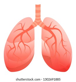 Human lungs icon. Cartoon of human lungs vector icon for web design isolated on white background