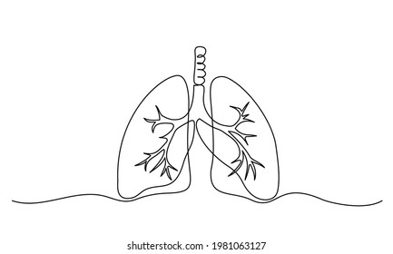 human lungs drawing