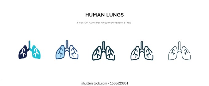 human lungs icon in different style vector illustration. two colored and black human lungs vector icons designed in filled, outline, line and stroke style can be used for web, mobile, ui