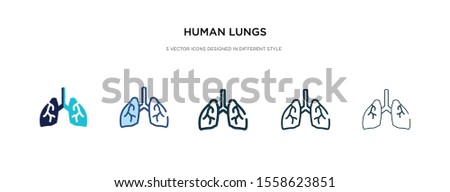 human lungs icon in different style vector illustration. two colored and black human lungs vector icons designed in filled, outline, line and stroke style can be used for web, mobile, ui