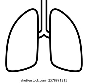 The human lungs icon isolated on white background