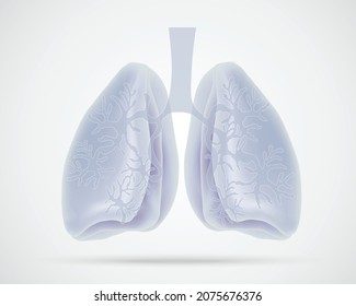 Human Lungs icon on white background. Internal organs of human.