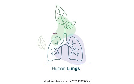 human lungs icon vector illustration 