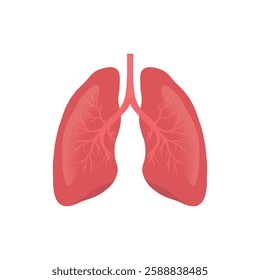 Human lungs icons vector illustration