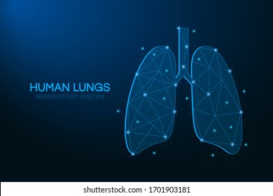 Human lungs illustration made by points and lines, polygonal wireframe mesh on blue background. Low poly respiratory system. Medicine, science. Vector.