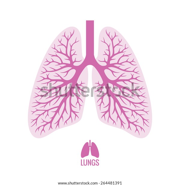 Human lungs\
illustration in pink color with bronchial tree plus small lungs\
icon isolated on white\
background