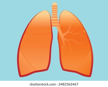 Human lungs. Human internal organs. Anatomy, medicine concept. Healthcare. Isolated on a blue background. Detailed vector illustration