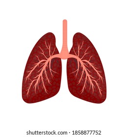 Human lungs. Internal organs, vector illustration