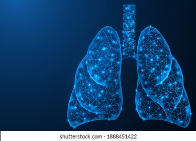 Human lungs. Internal respiratory organ. Polygonal construction of lines and points. Blue background.