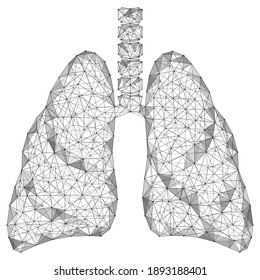 Human lungs. Internal respiratory organ. Polygonal construction of lines and points.