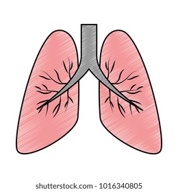 human lungs isolated icon