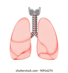 Human Lungs, Isolated On White Background, Vector Illustration
