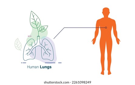 human lungs line icon vector illustration 