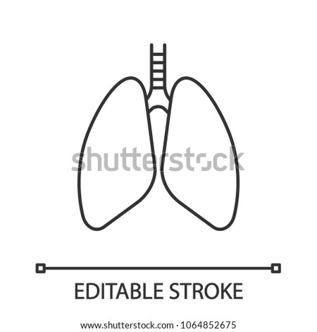 Human lungs linear icon. Thin line illustration. Respiratory system anatomy. Contour symbol. Vector isolated outline drawing. Editable stroke