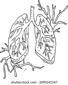 Human Lungs With Lines Inside And Outside Sketch Vector Illustration Hand Draw