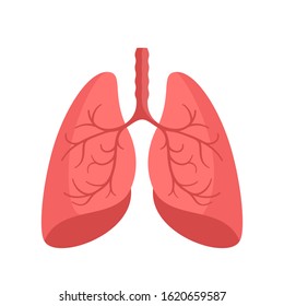 Human lungs. Lung icon, symbol. Internal respiratory organ of human. Medical vector illustration, flat design element, object, cartoon style. Isolated on white background.