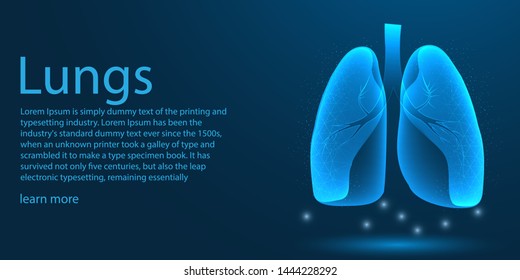 Human Lungs medical organ. low poly wireframe theme concept on blue background. Illustration vector.