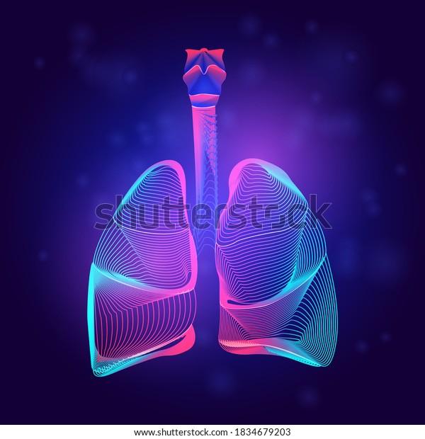 Human lungs medical structure. Outline vector illustration of body part