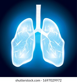 human lungs organ in campaign background vector illustration design