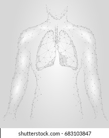 Human Lungs Pulmonary Infection Internal Organ. Respiratory System Inside Body Silhouette. Low Poly 3d Connected Dots Triangle Polygonal Design. Gray White Color Background Vector Illustration