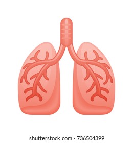 Human Lungs - of the Realistic Icons Collection . A professional, realistic, pixel aligned icon.
