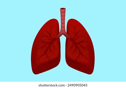human lungs, respiratory organ, diagnostic symbol. Vector illustration