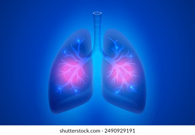 human lungs, respiratory organ, diagnostic symbol. Vector illustration