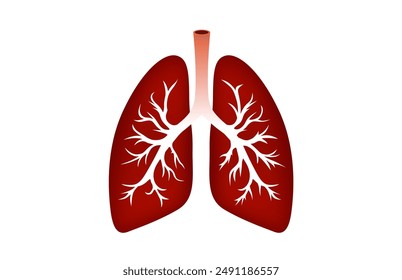 human lungs, respiratory organ, diagnostic symbol. Vector illustration